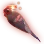 Duke Squid icon