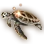Green Sea Turtle icon