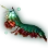 Mantis Shrimp icon