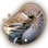 Nautilus icon
