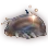 Sea Pig icon