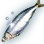 Rainbow Sardine icon