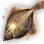 Black Halibut icon