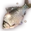 White Crucian Carp icon