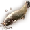 Electric Catfish icon