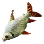 Silver Prochilodus icon