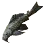 Common Pleco icon