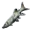 Pike Characin icon