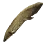 Lungfish icon