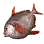 Opah icon