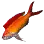 Redfin Anthias icon