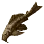 Dried Common Pleco icon
