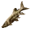 Dried Pike Characin icon