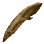 Dried Lungfish icon