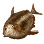 Dried Opah icon