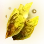 Gilded Leaf icon