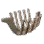 Birch Keel icon