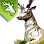 Epheria Carrack: Balance (Chiro's Figurehead) icon