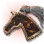 Horse Emblem: Dream Doom icon
