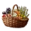 [Guild] Bountiful Basket icon