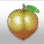 Forest Fruit icon