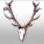 Beautiful Deer Horn icon