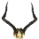 Horn Decoration icon