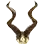 Exquisite Horn Decoration icon