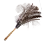 Sparse Ferri Feather Duster icon