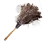 Ferri Feather Duster icon