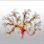 Iliya Coral icon