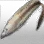 Silver Fish Skin icon