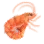 Cohen Dried Shrimp icon