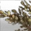 Contaminated Herb Bundle icon