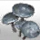 Oberen's Mushroom Seedling icon
