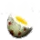 Grilled Kuku Bird Egg icon