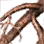 Bunch of Kebina Roots icon