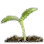 Treant Sprout icon