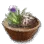Kaia Herb Bundle icon