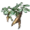 Tough Plant Root icon