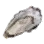 Louruvian Oyster icon