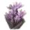 Bunch of Saffron icon