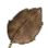 Dried Herb Leaf icon
