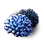 Oceanic Coral icon
