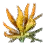 Sunrise Herb in the Sunset icon