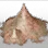 Angelic Powder icon