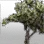 Tree of Luck icon