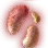 Pumpkin Ghost Seed icon