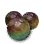 Rainbow Pill icon