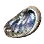 Giant Abalone Shell icon